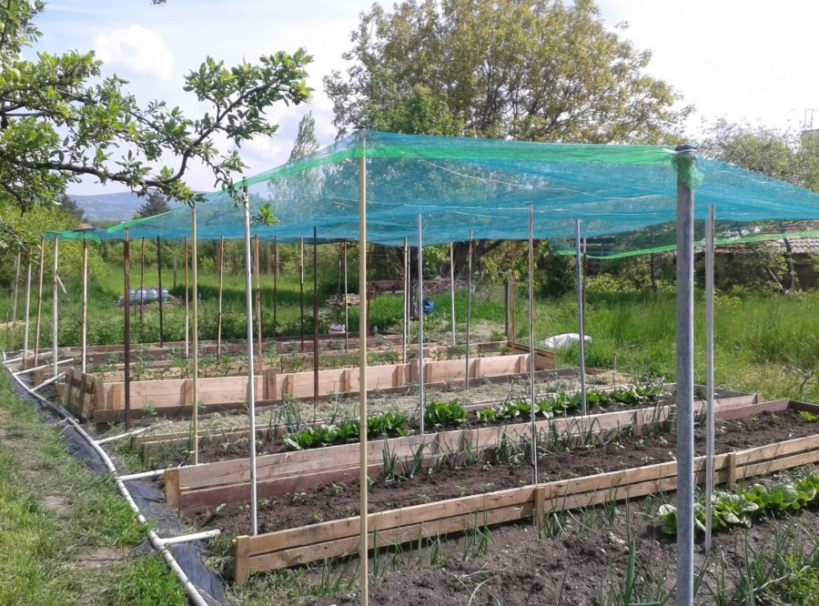 Мрежа против градушка и птици, 35% фактор зелена с UV защита, Ширина от 2м до 12м, Дължина от 10м до 100метра | iguana.bg