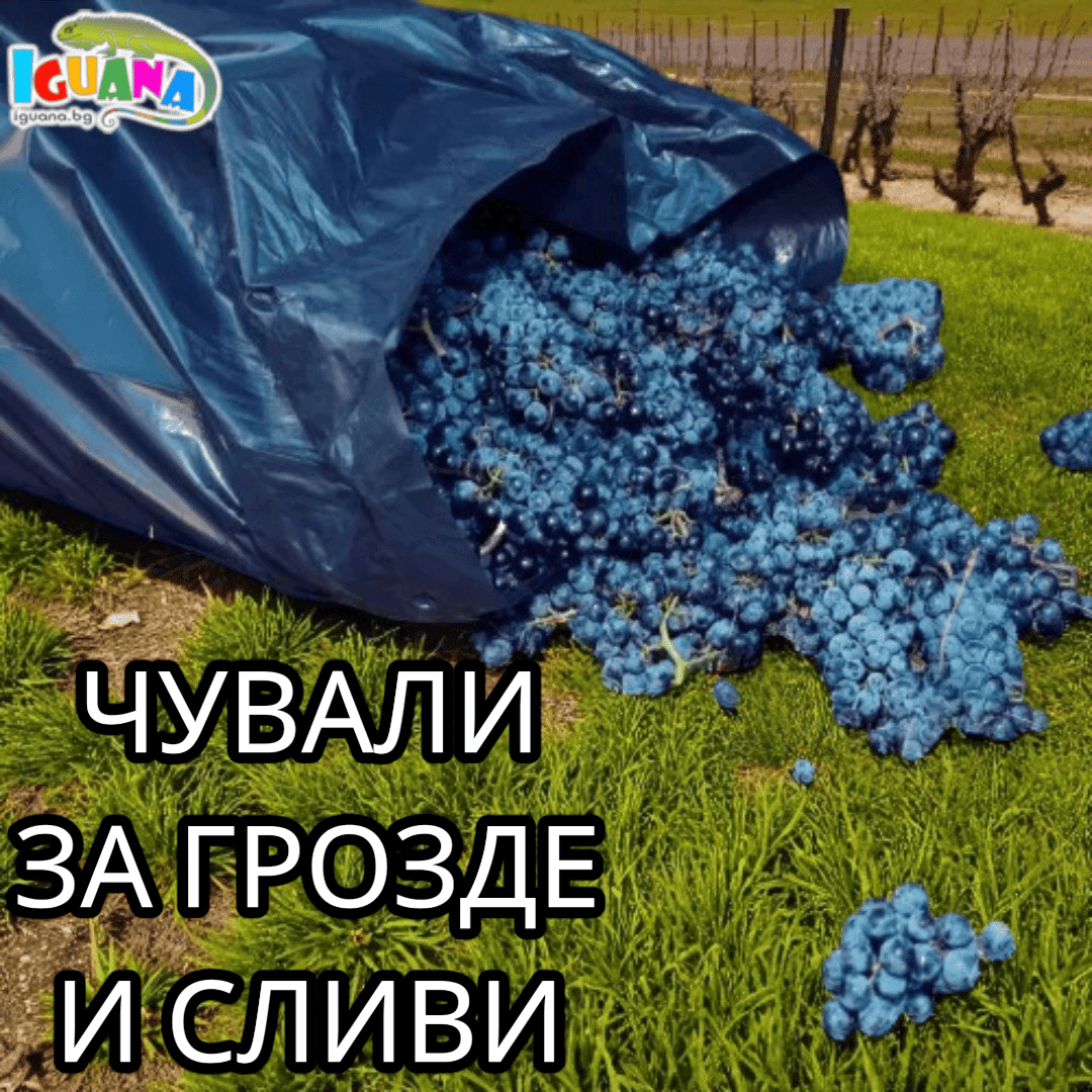 Чували за грозде и сливи 60x90 см – полиетилен 100 микрона