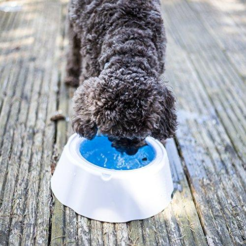 Охлаждаща купичка за домачни любимци 470мл за вода