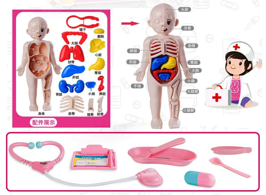 Образователен докторски комплект АНАТОМИЯ на човешкото тяло с лекарска слушалка и принадлежности | IGUANA.BG
