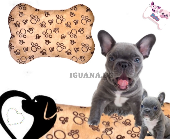 Килимче за домашни любимци, 58х42см , мека и удобна постелка