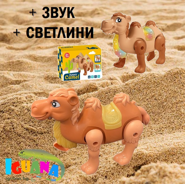 Ходеща камила със Звук и Светлина