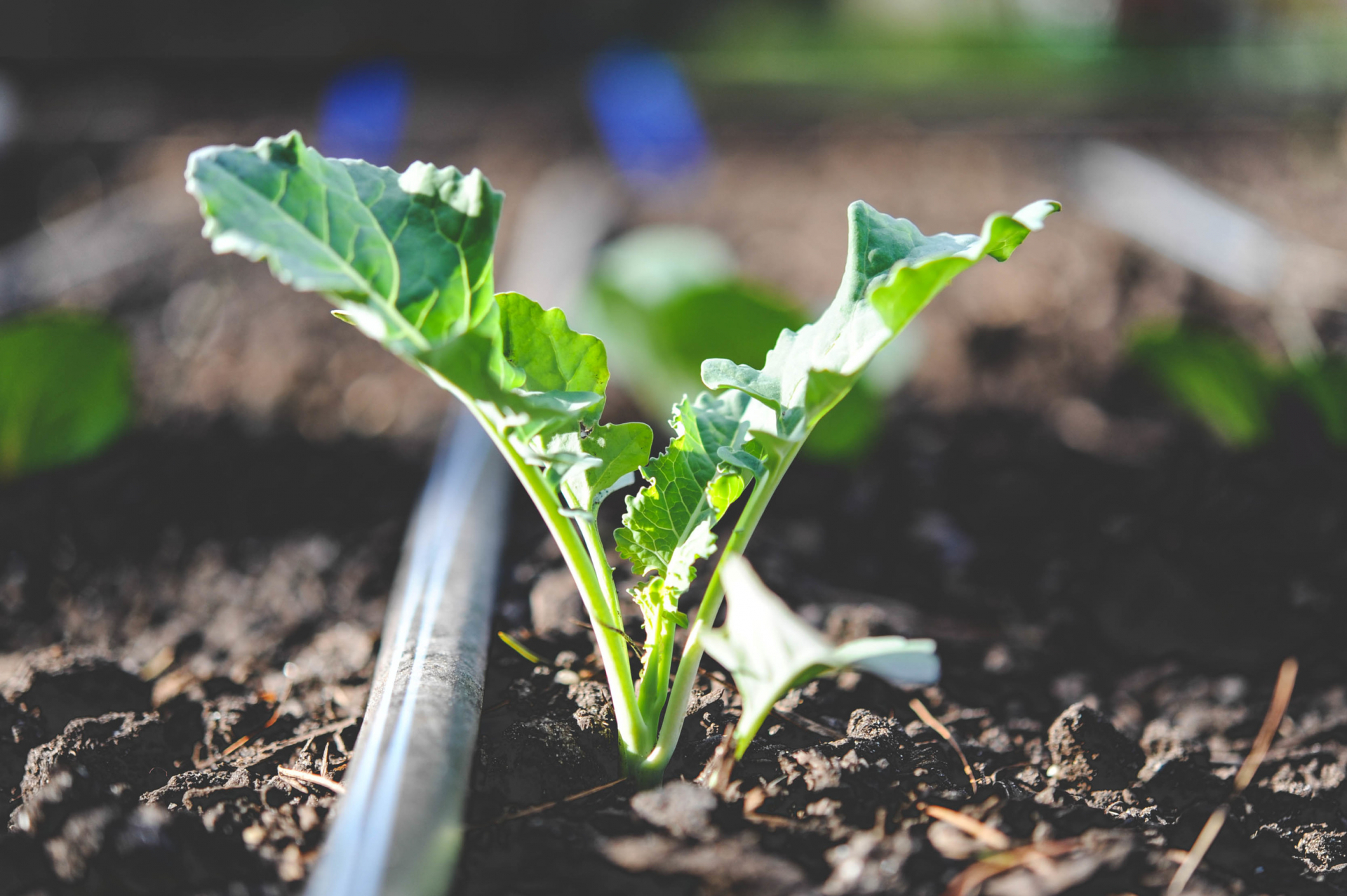 Капков лентов маркуч 100м, 500м, 1000м, 2200м, 2500м