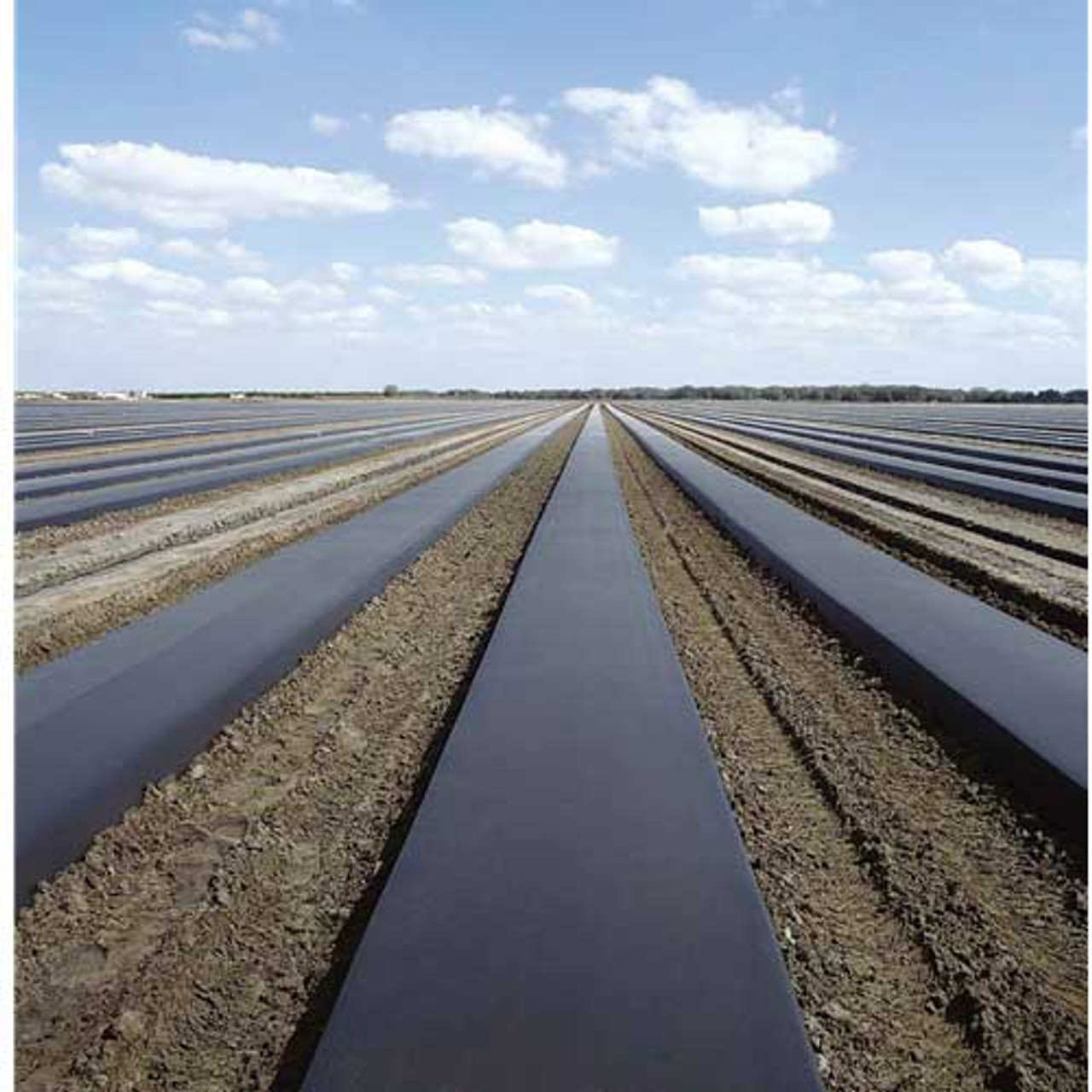 Мулч фолио 1,20м/100м UV защита, мулчиращо, фолио за мулчиране