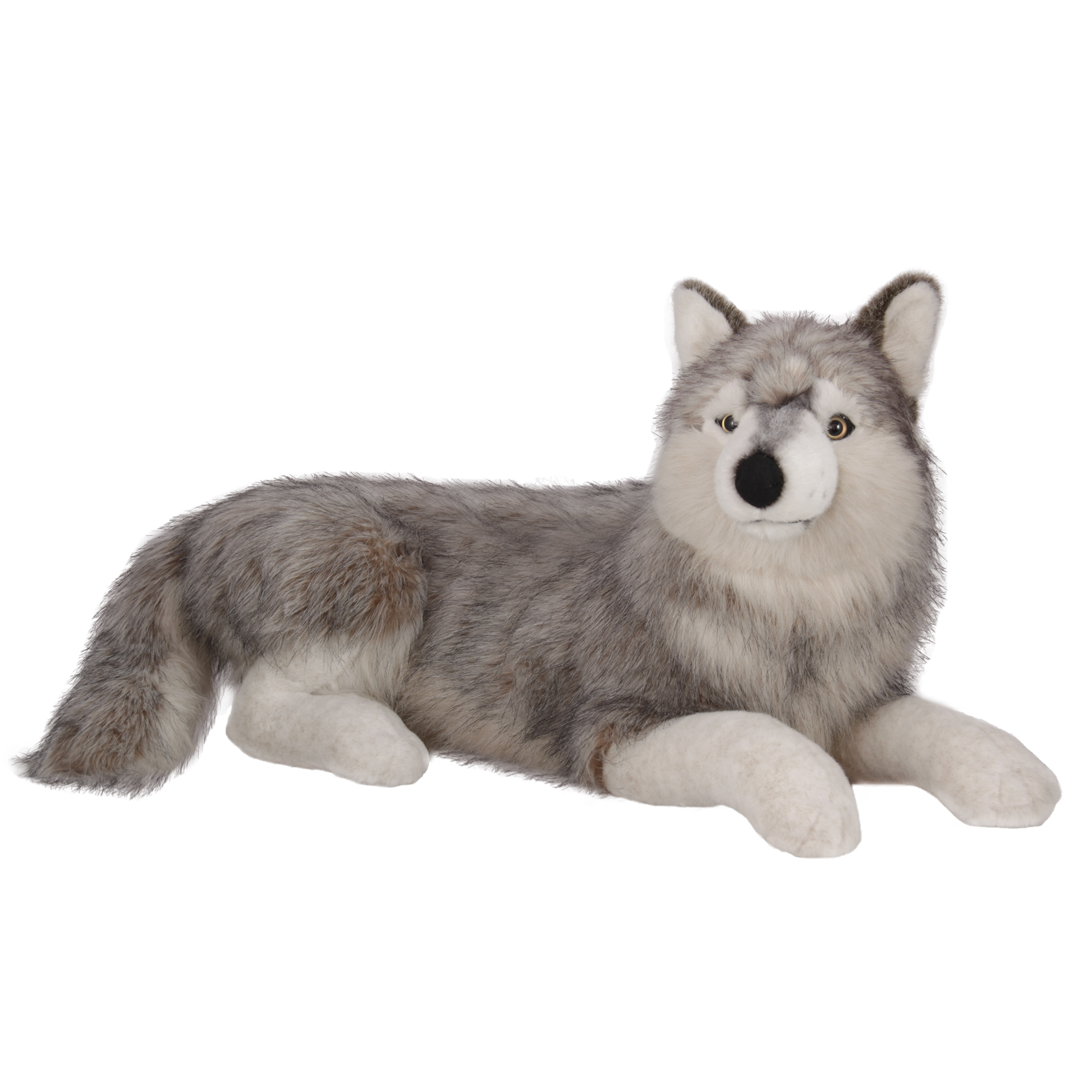 Сибирски вълк 70 см