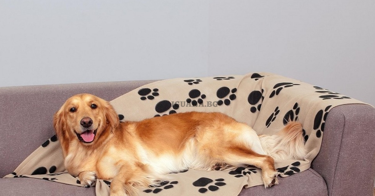 Одеяло за домашен любимец 70Х100см