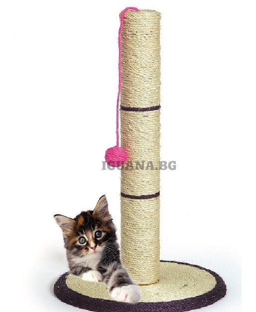 Котешка дръскалка с висящо топче