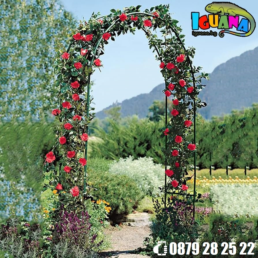 Арка за рози и увивни растения, 140х38х240см - Iguana.bg