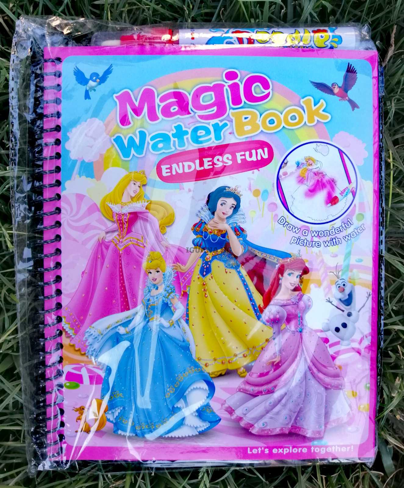 Магическа водна книжка ПРИНЦЕСИТЕ