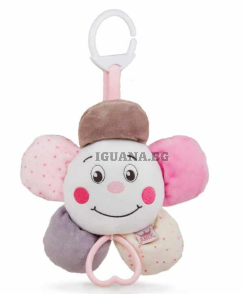 Плюшена латерна – Цвете