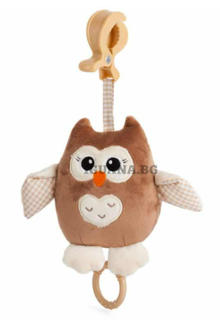 Латерна бухалче