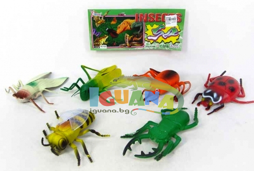 Комплект Насекоми 6бр