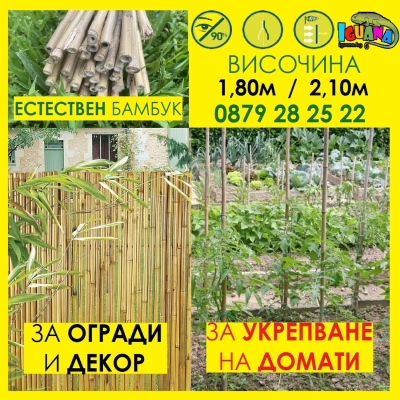 Колчета за домати от бамбук 180см / 210см кол, бамбукови пръчки 1,80м или 2,10м Iguana.bg
