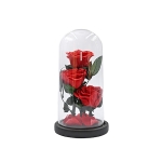 Вечна Тройна Роза в Стъкленица от Iguana.bg – Магия и Стил за Незабравими Емоции