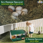 Гнездо за Кокошки Носачки Автоматично с Колектор за Яйца, Метално, 3 Отделения