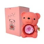 Мече на Любовта Прегърнало Кутийка Сапунена , Iguana Teddy Bear Rotating Jewelry Box, акрил, Праскова , 16 см