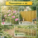 Колчета за домати от бамбук 180см / 210см кол, бамбукови пръчки 1,80м или 2,10м Iguana.bg