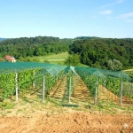 Мрежа Против Градушка и Птици 50% Засенчване | UV Защита за Зеленчуци | Ролка 3x100м Зелена 