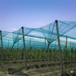 Мрежа против градушка и птици, 35% на ролка 10/100м зелена с UV защита