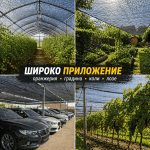 Мрежа Против Градушка и Птици 50% Засенчване | UV Защита за Зеленчуци | Ролка 12x50м Зелена