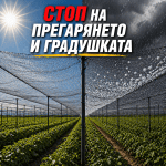 Мрежа Против Градушка и Птици 50% Засенчване | UV Защита за Зеленчуци | Ролка 12x50м Зелена