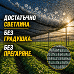 Мрежа Против Градушка и Птици 50% Засенчване | UV Защита за Зеленчуци | Ролка 12x50м Зелена