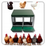 Гнездо за Кокошки Носачки Автоматично с Колектор за Яйца, Метално, 2 Отделения