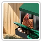 Гнездо за Кокошки Носачки Автоматично с Колектор за Яйца, Метално, 2 Отделения