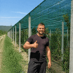 Мрежа против градушка и птици, 35% фактор зелена с UV защита, Ширина от 2м до 12м, Дължина от 10м до 100метра | iguana.bg