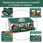 Гнездо за Кокошки Носачки Автоматично с Колектор за Яйца, Метално, 4 Отделения