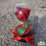 Светеща LED Роза в Стъкленица с USB Захранване, Луксозна Подаръчна Кутия