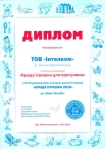 Дървено колело за баланс екологично балансиращо TECHNOK, Украйна