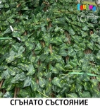 Сгъваема декоративна ПЕРГОЛА с изкуствена зеленина, Естествена дървесина, 180x60 см