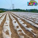 Мулч фолио 1,20м/100м UV защита, мулчиращо, фолио за мулчиране