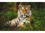 Пъзел  Animal Planet, Анимал Планет , Тигър