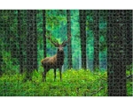 Пъзел  Animal Planet, Deer in the Forest , Анимал Планет, Елен в гората