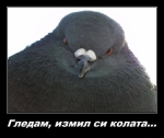 Isotronic US 1 BIRDS Cоларен уред против птици Котешко око за 100 кв.м