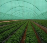 Засенчваща зелена оградна мрежа, 85% фактор с UV защита, Ширина от 1м до 4м, Дължина от 10м до 100метра | iguana.bg