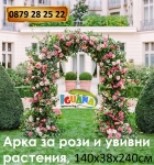 Арка за рози и увивни растения, 140х38х240см - Iguana.bg