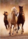 CLEMENTONI Пъзел HQ COLLECTION RUNNING HORSES/Бягащи Коне, 1000 части