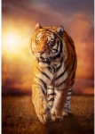 CLEMENTONI 1500 части Пъзел High Quality Collection Tiger/Тигър