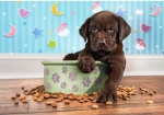 CLEMENTONI Пъзел Lovely Puppy/Сладко кученце, 180 части