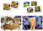 CLEMENTONI SUPERKIT Пъзел Animals/Животинчета  2в1, 2х30 части + Memo/Игра за памет и Dominо/Домино