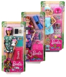 Кукла Barbie/Барби - Уелнес
