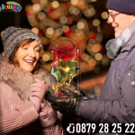 Роза в светеща LED стъкленица с луксозна подаръчна опаковка