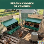 Гнездо за Кокошки Носачки Автоматично с Колектор за Яйца, Метално, 3 Отделения