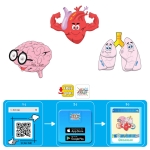 Говорещ и Разказващ Пъзел „Органите в Човешкото Тяло“ на Български за Най-Малките – 10 Модела по 2 Елемента (11×10 см), Общо 30 Елемента, от EVA Пяна, с Добавена Реалност на 16 Езика, 20×17×4 см