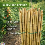 Колчета за домати от бамбук 180см / 210см кол, бамбукови пръчки 1,80м или 2,10м Iguana.bg