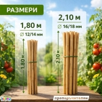 Колчета за домати от бамбук 180см / 210см кол, бамбукови пръчки 1,80м или 2,10м Iguana.bg