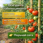 Колчета за домати от бамбук 180см / 210см кол, бамбукови пръчки 1,80м или 2,10м Iguana.bg